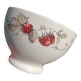 Strawberry bowl
