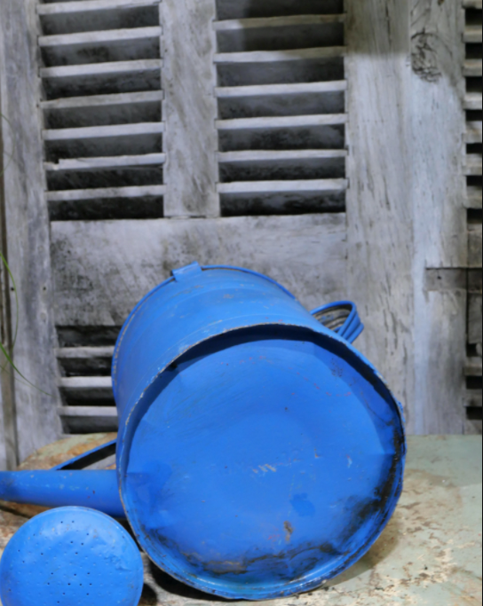 Blue zinc watering can