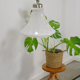 Vintage glass pendant lamp with chrome details