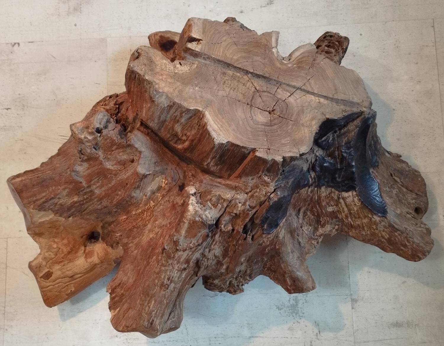 Sculptural wooden centrepiece, organic bowl, brutalist.