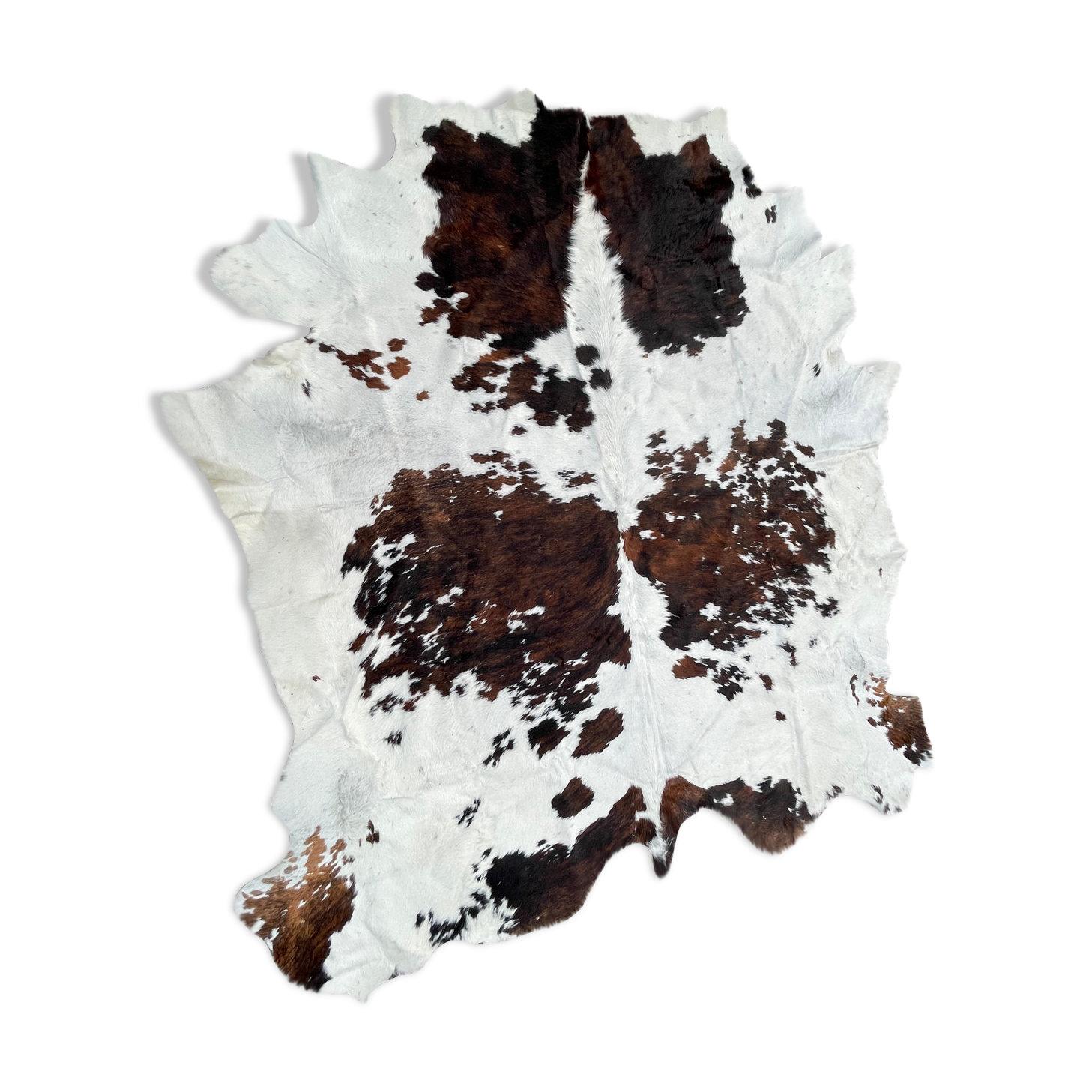 Cow skin