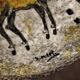 Jair ceramic trinket bowl 1950