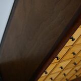 Dutch industrial apothecary's cabinet of the 20th century