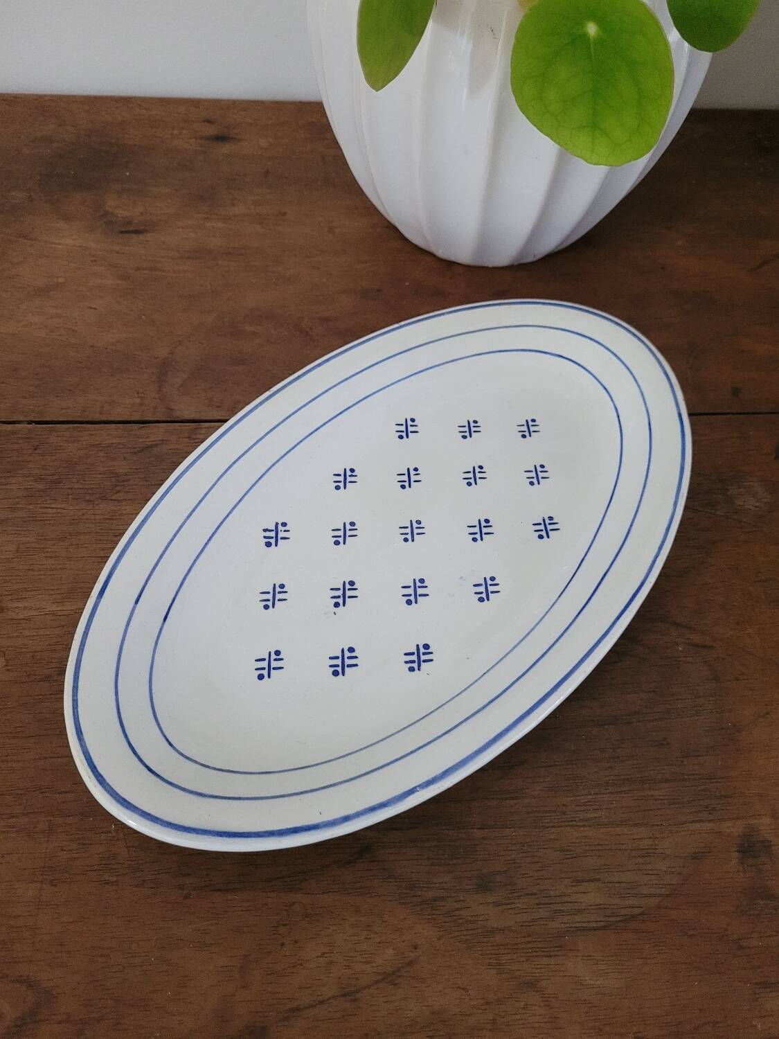 Opaque porcelain dish