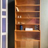 Scandinavian honey glazed bookcase