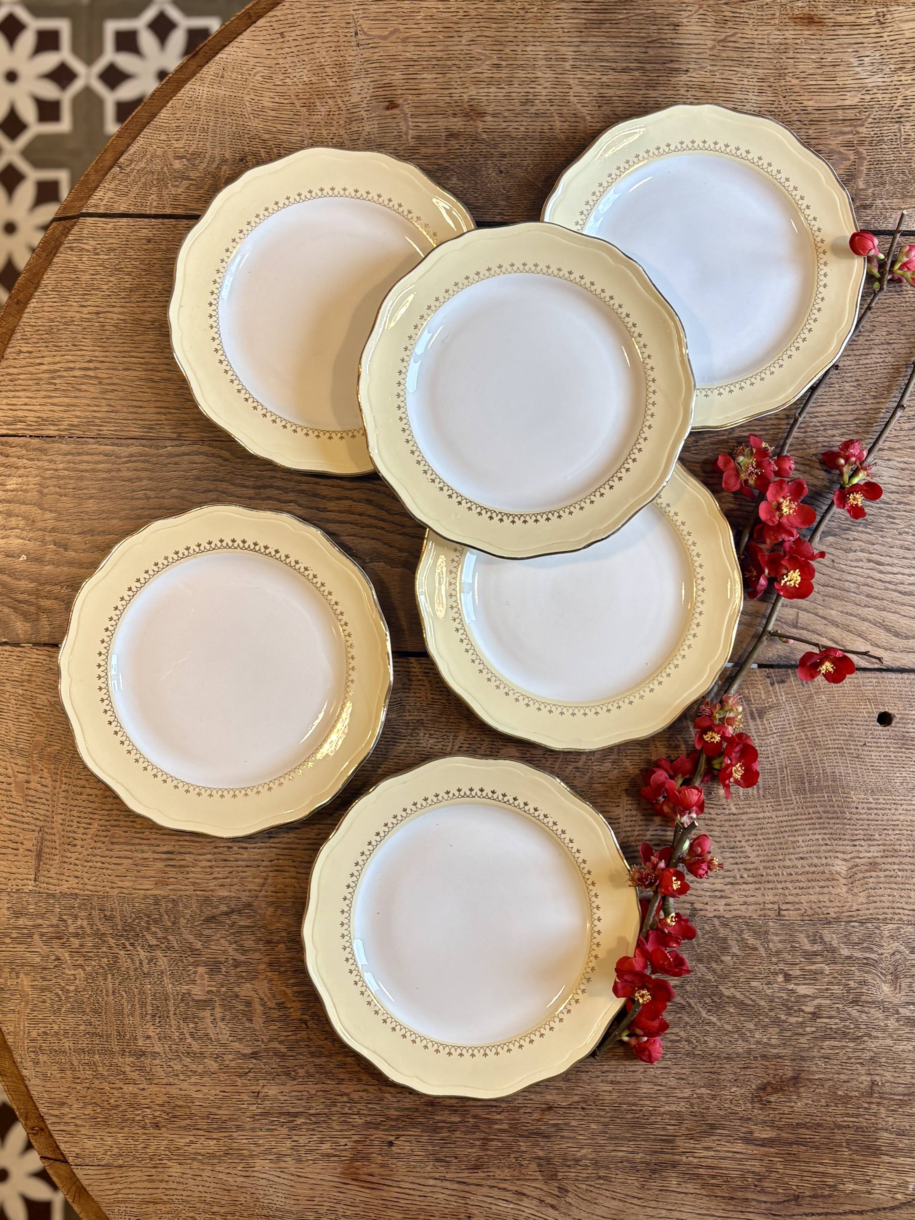Set of 6 vintage white dinner plates with yellow and gold trim.