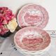 6 Assiettes creuses en porcelaine  anglaise Italienne : Swiss  Landscape