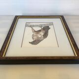 Ancien cadre rapace oiseau