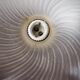 Pair of frosted glass flower pendant lamps