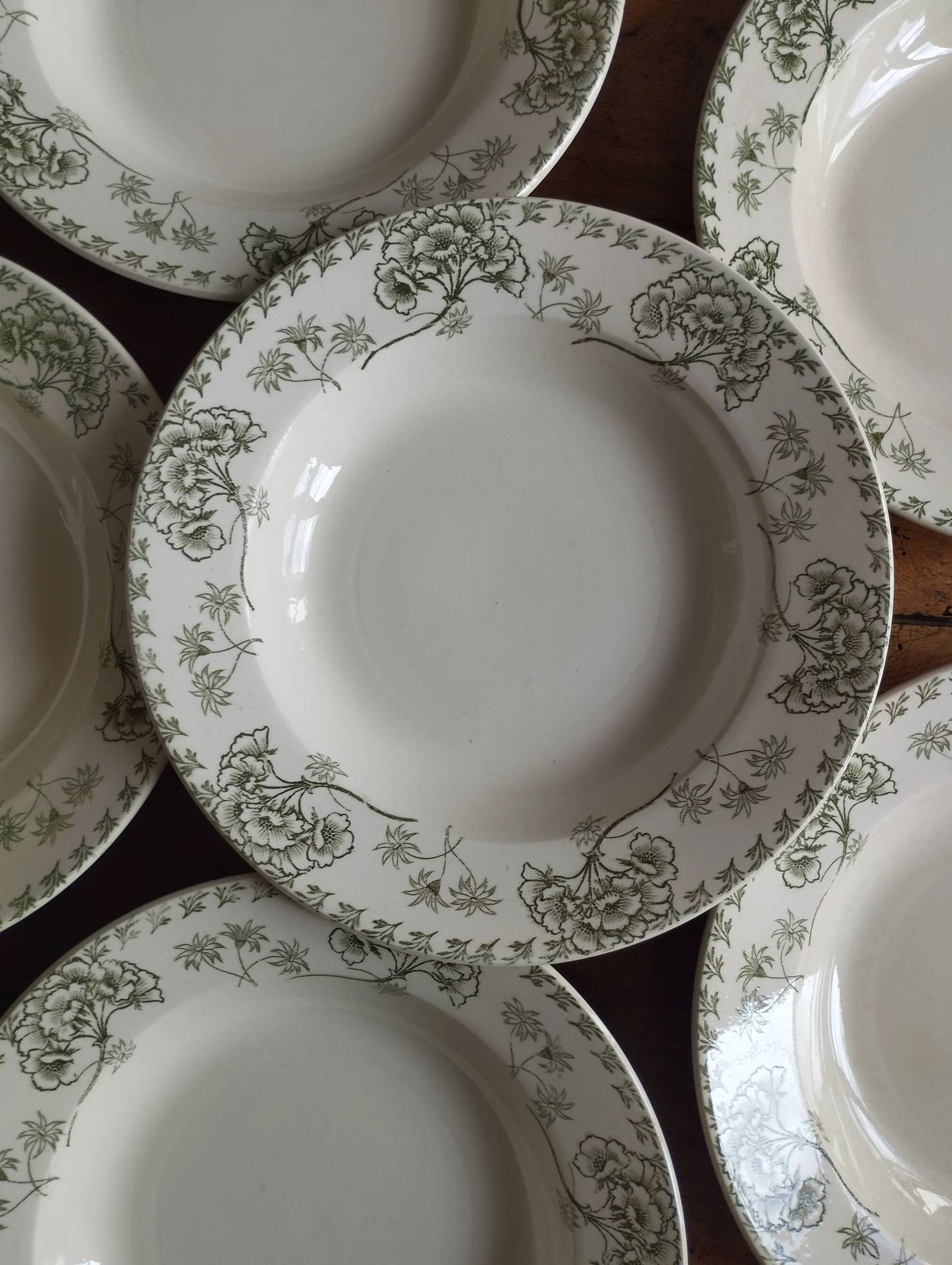 « Palmyre » - 6 assiettes creuses terre de fer Sarreguemines