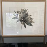 Original framed photograph by Denis Brihat 1994 print 1/6 numbered signed