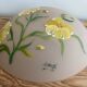 Opaline pendant light hand painted and signed
