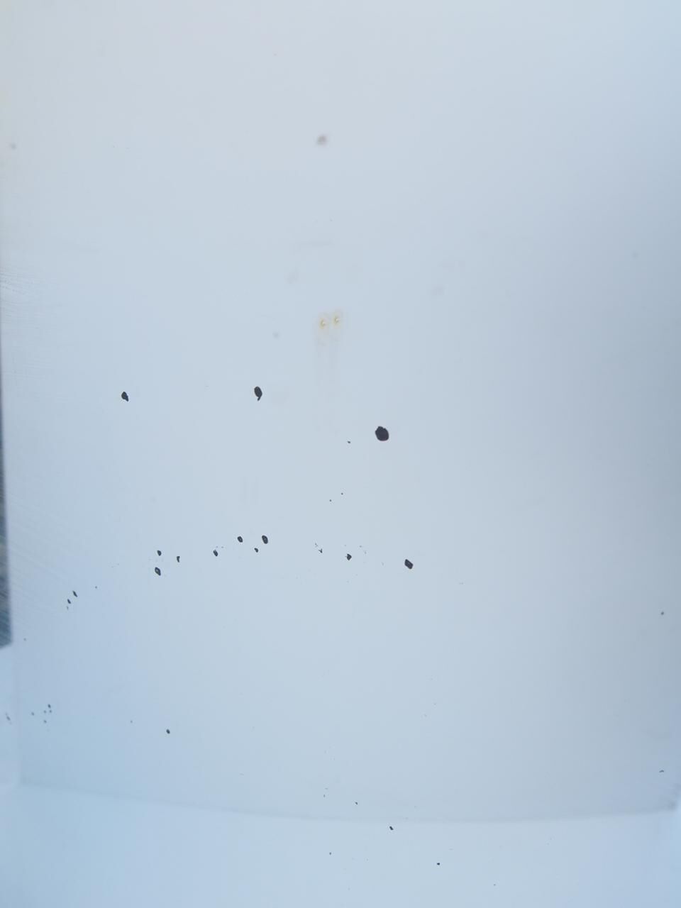 Beveled mirror