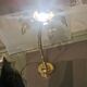 Solid brass palm tree lamp