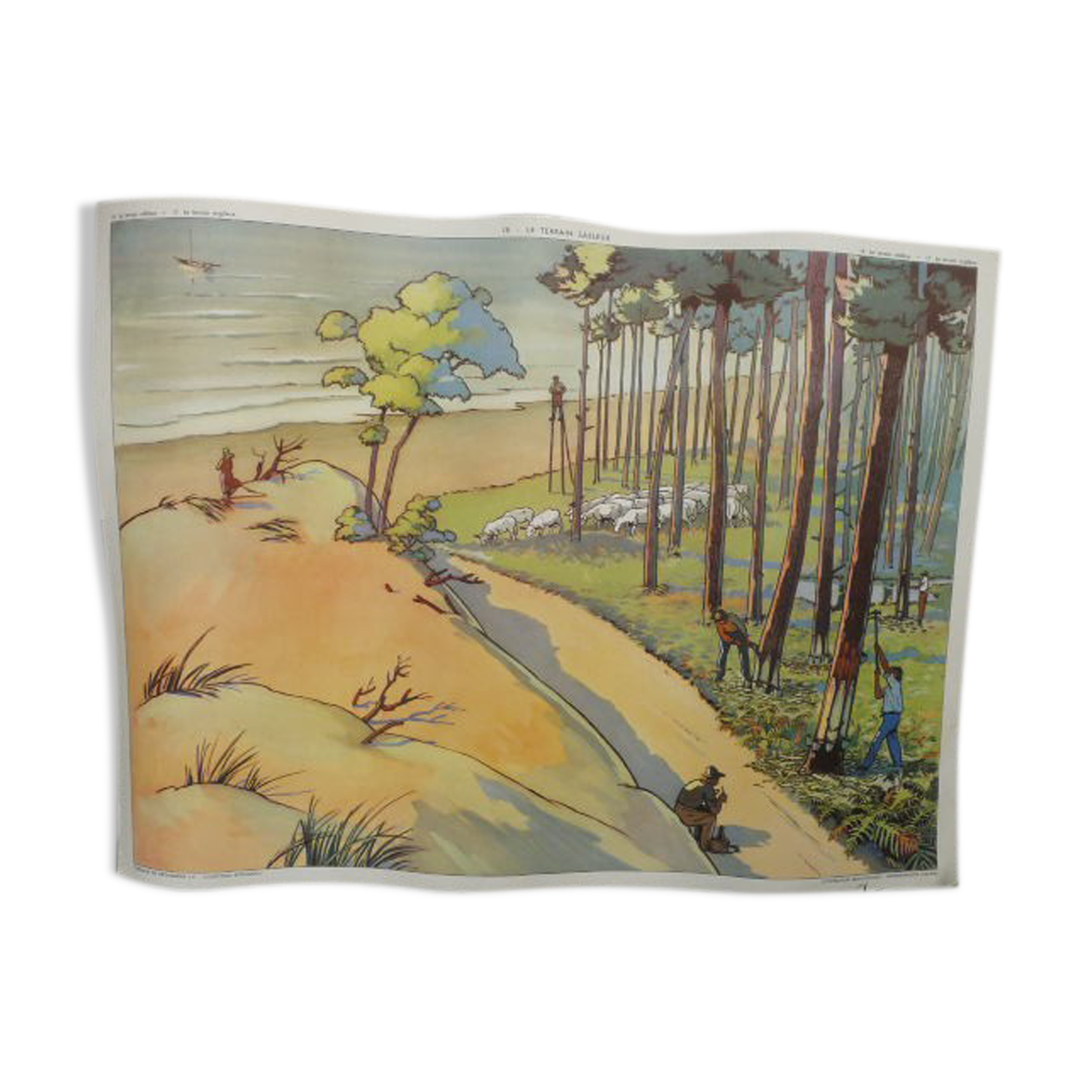 School poster Rossignol collection 50s, N° 17 and 18 the sandy and clayey terrain