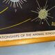 XL vintage linen school chart – ‘Relations of the animal kingdom’
