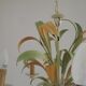 French Vintage Cream 5 Light Metal Chandelier Green and Peach Leaves