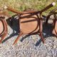 4 fauteuils Baumann en bois courbé