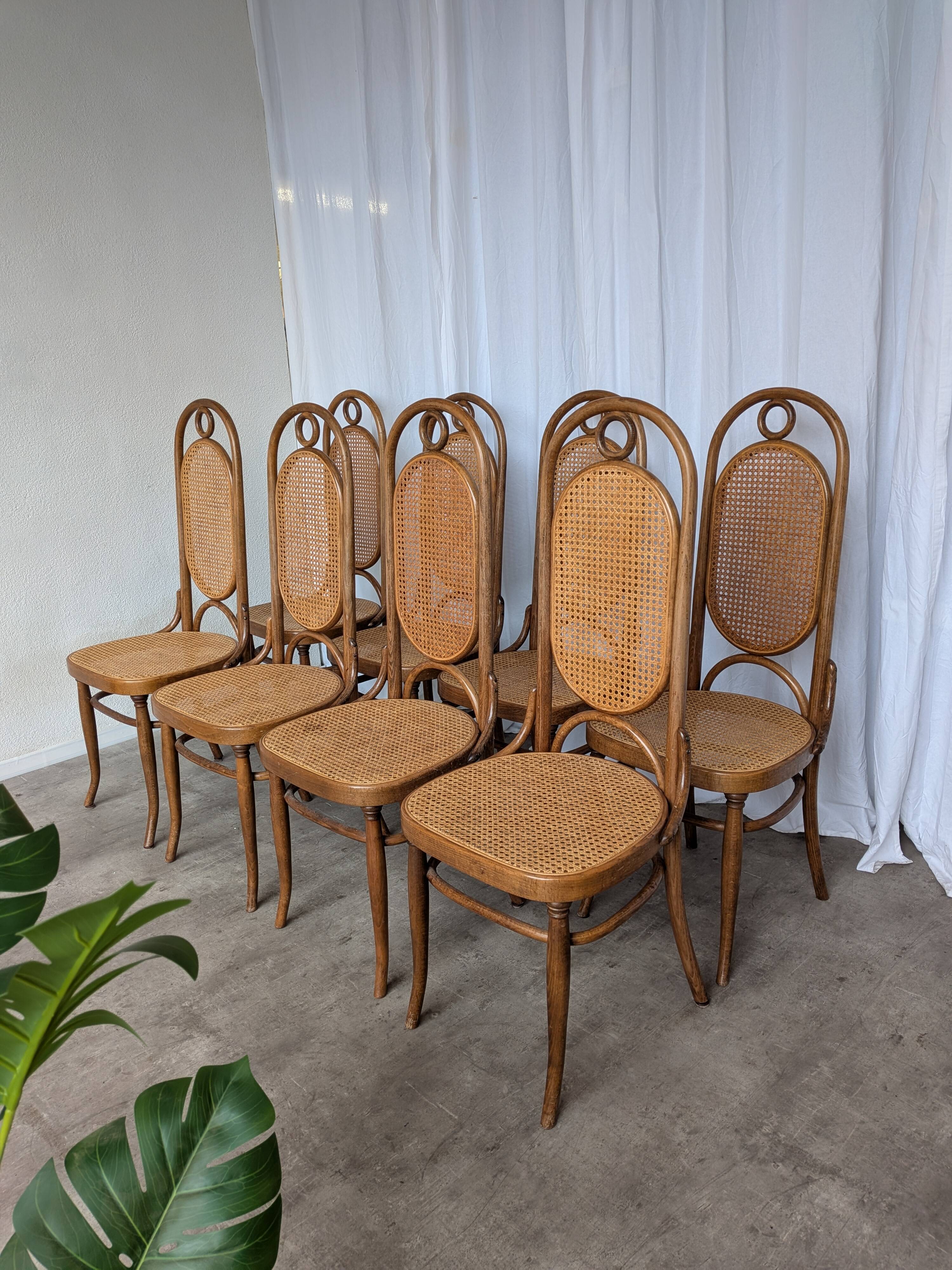 Set of 8 Vintage Bentwood Cane Dining Chair, Thonet Style, 1970s Yugoslavia