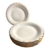 6 Limoges porcelain soup plates signed P. Dessagne in very good condition