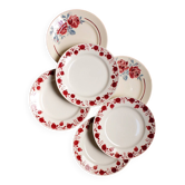 Set of 6 mismatched apple & rose plates