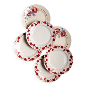 Set of 6 mismatched apple & rose plates