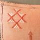 Housse de coussin en soie naturelle végétale