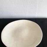 Pearly enamel dish
