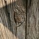Porte, volet en bois