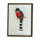 Framed bird engraving