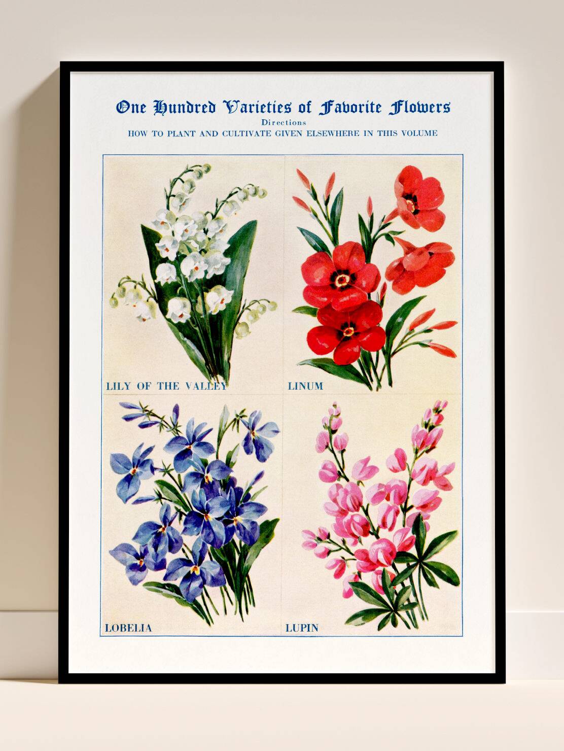 Poster about lily of the valley, flax, lobelia and lupin