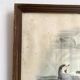 Large framed antique zoological engraving "The Washerwoman"