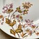 Floral porcelain dessert plates x14