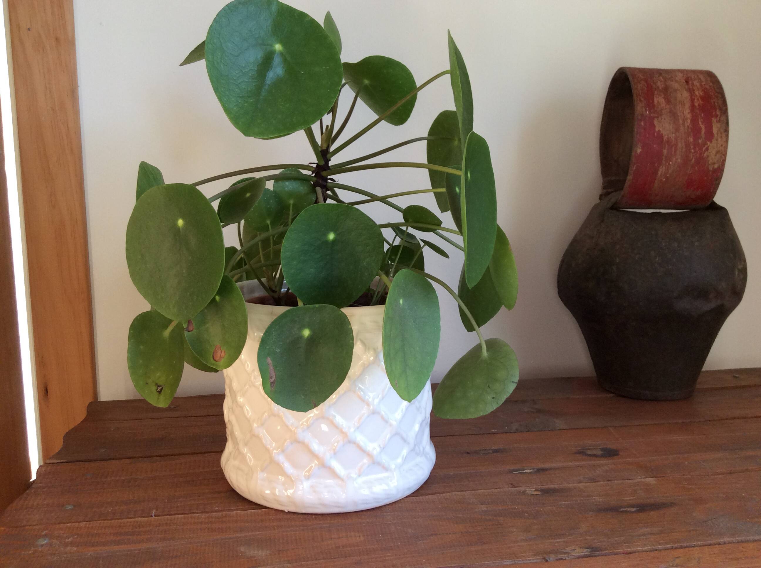 White earthenware planter