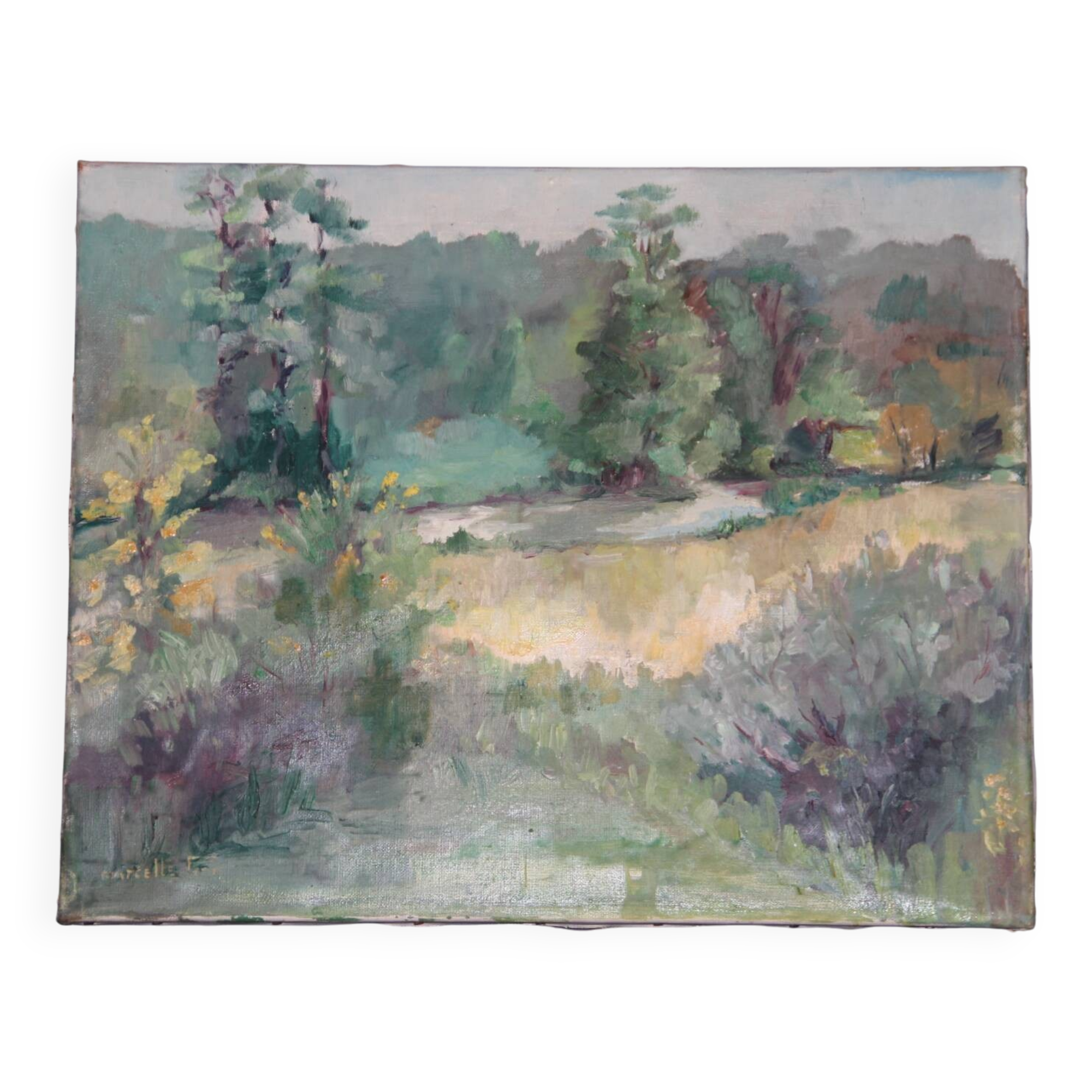 Oil on canvas, rural landscape, signed