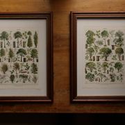 Original lithograph on mushrooms