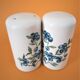 Porcelain salt and pepper shaker