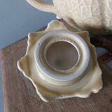 Teapot coffee maker pitcher melon in slippery water