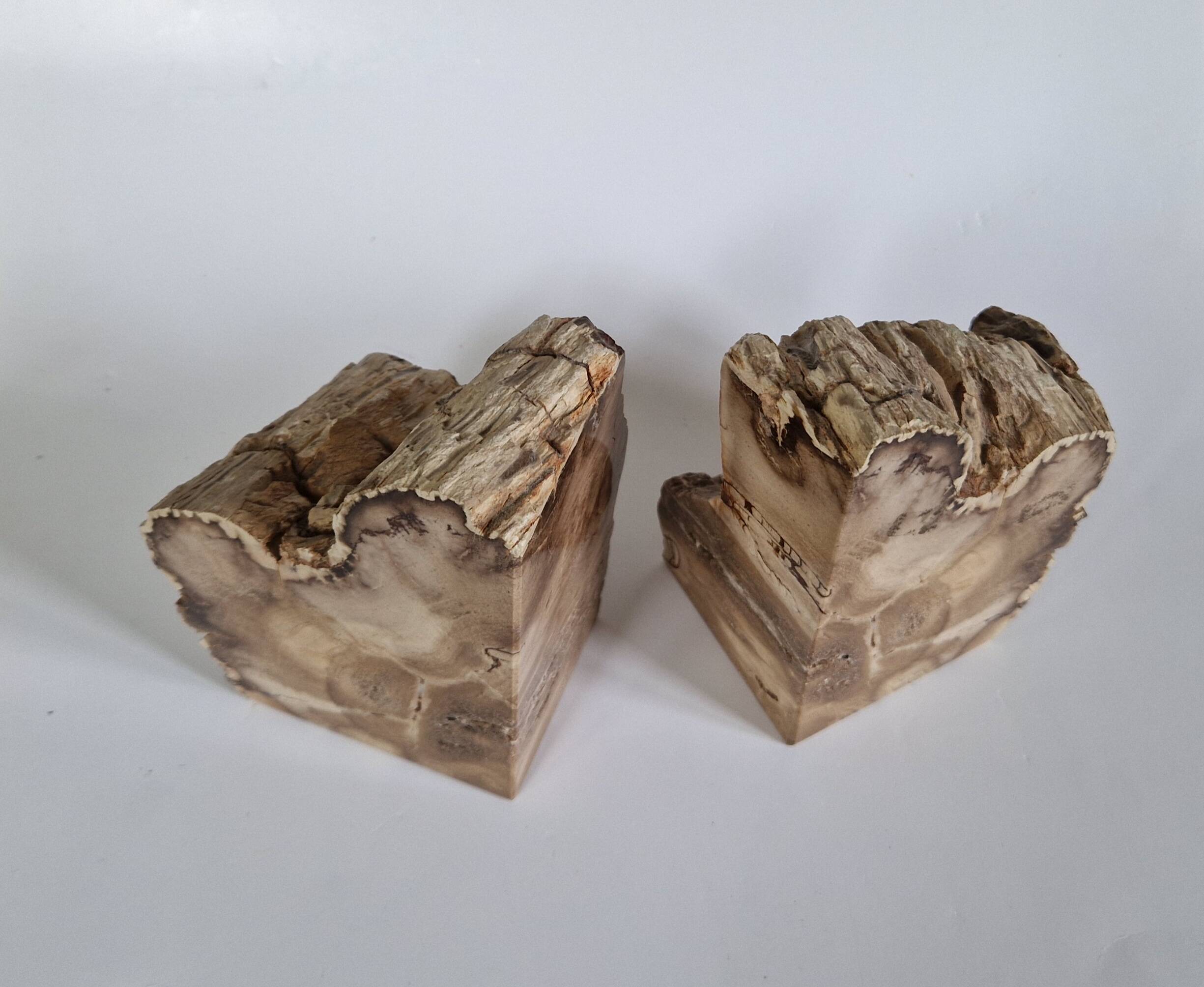 Pair of petrified wood bookends