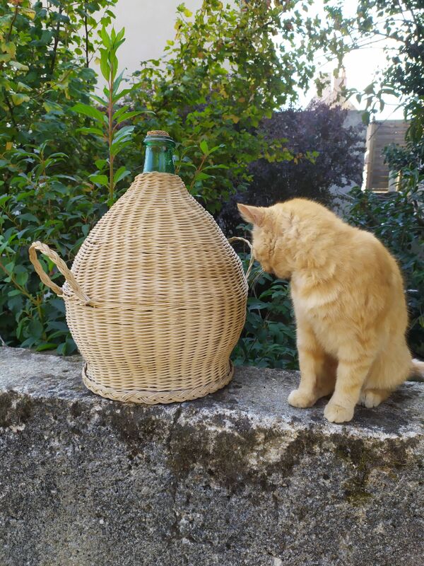 Dame Jeanne rotin 15 litres