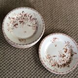 Series of 9 plates Iron Earth