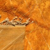 Exceptional Mrirt rug 303 x 234 cm