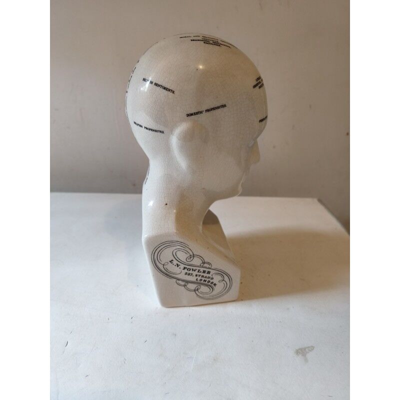 Cracked earthenware phrenology bust by Fowler