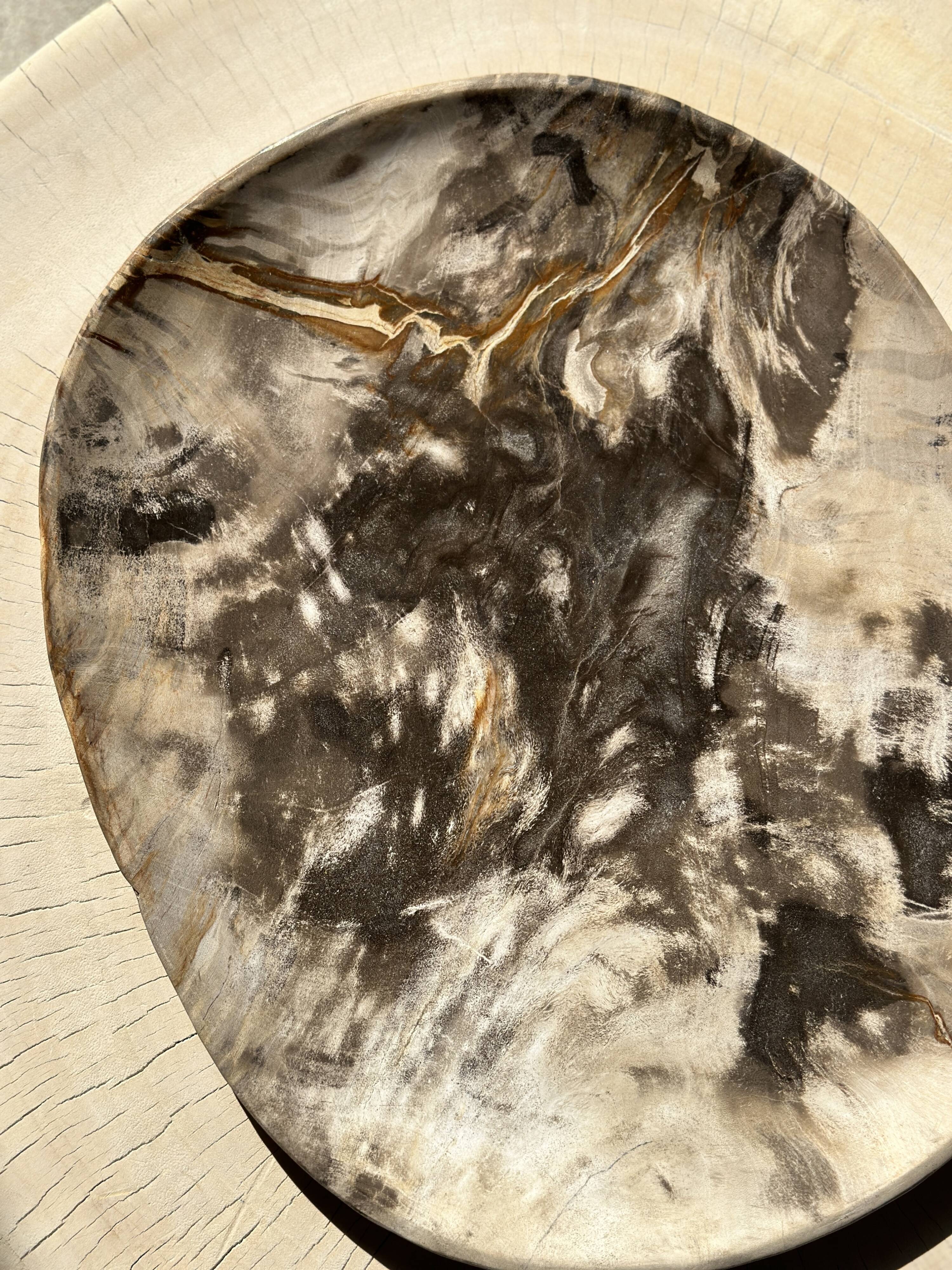 Very large pocket or dish in petrified wood