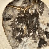 Very large pocket or dish in petrified wood