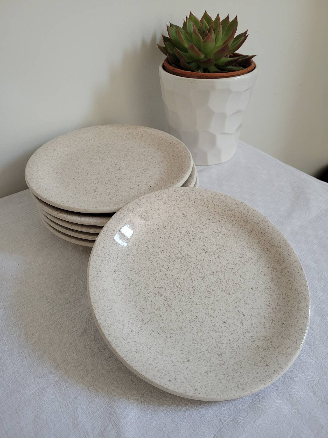 6 assiettes à dessert mouchetées