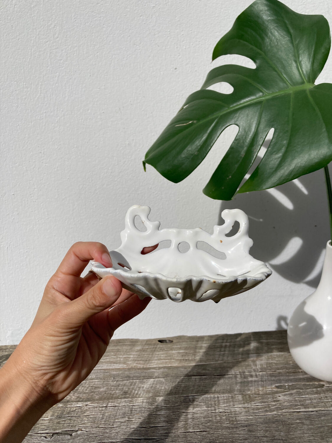 Old shell soap dish in white enamelled cast iron