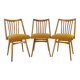 1960s Antonin Suman Oak Chair, Set of Three