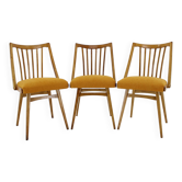 1960s Antonin Suman Oak Chair, Set of Three