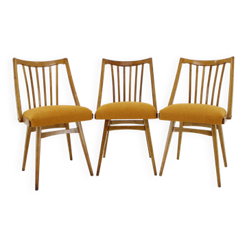 1960s Antonin Suman Oak Chair, Set of Three